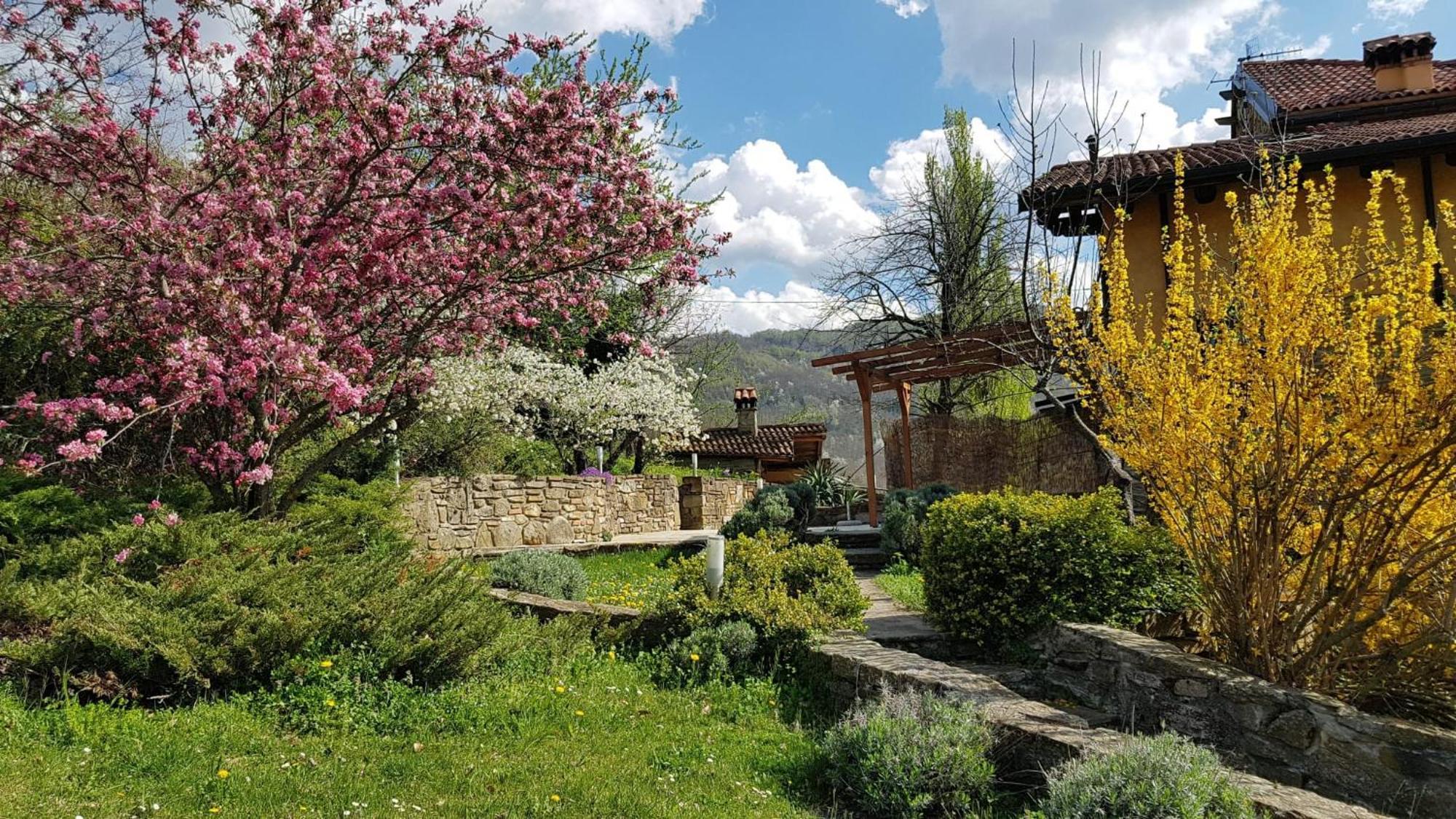 Agriturismo Fattoria Ca Di Sole San Benedetto Val di Sambro ภายนอก รูปภาพ